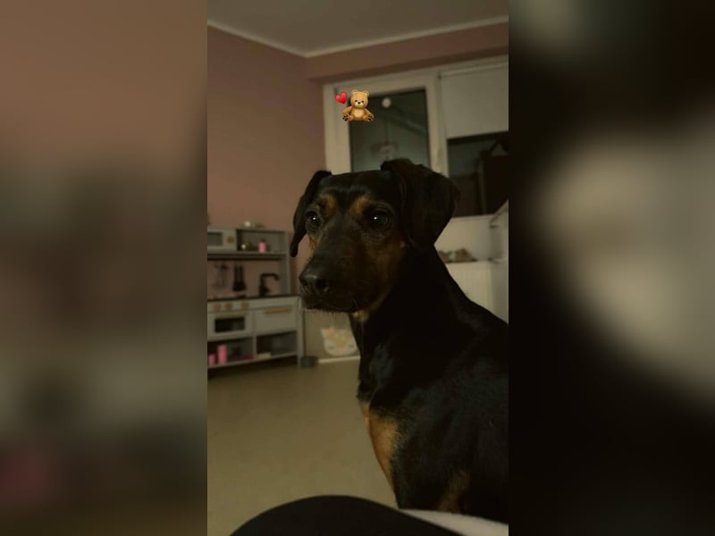 Nero verliert sein Zuhause