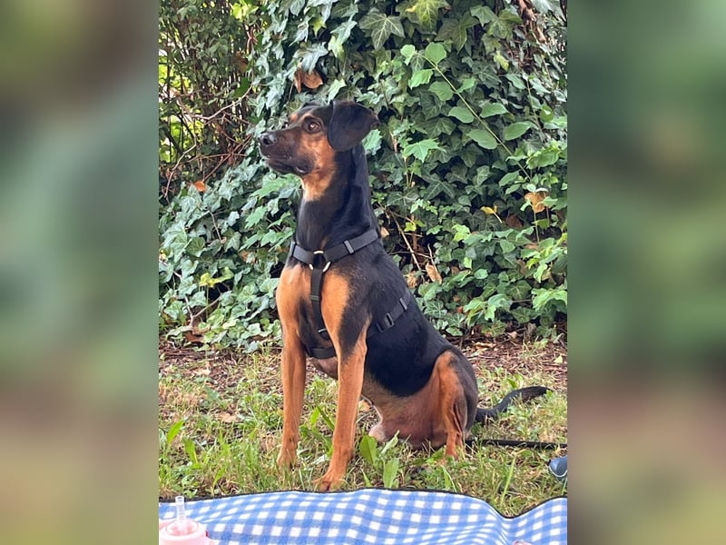 Nero verliert sein Zuhause
