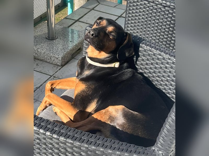 Nero verliert sein Zuhause