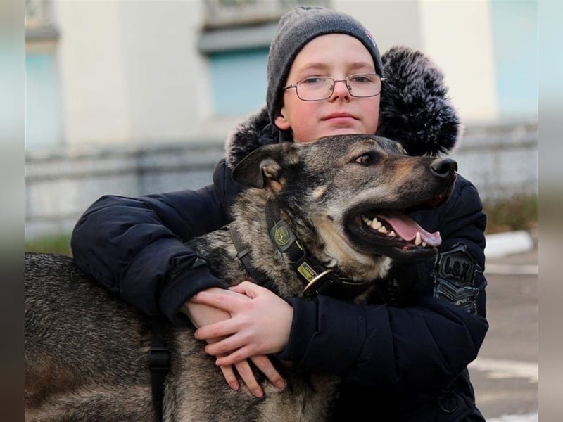 BOY- sucht liebevolles Zuhause