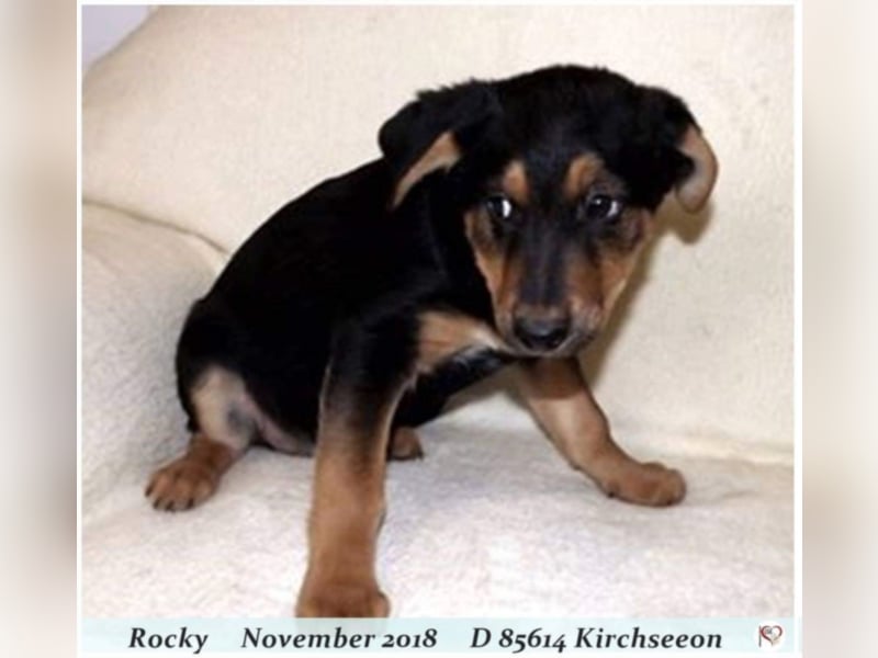 Rocky