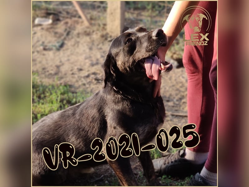 VR-2021-025 hofft auf sein Glück
