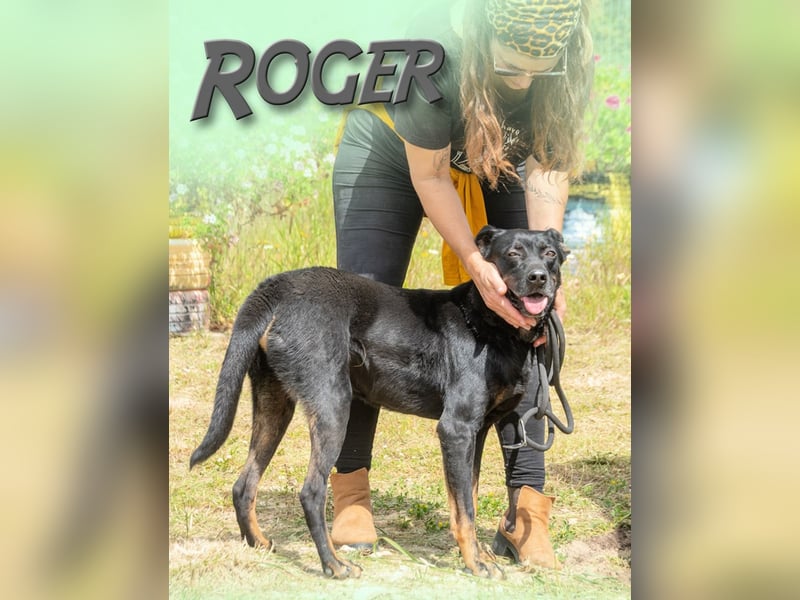 Roger – wurde einfach zurückgelassen