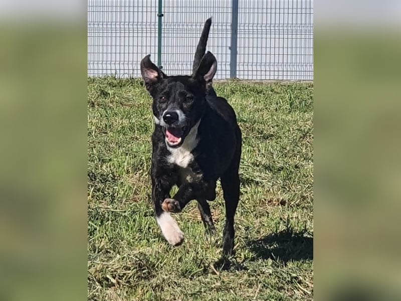 GOOD- toller Freizeitpartner