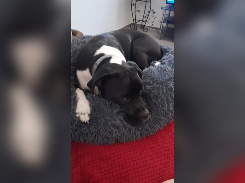 ✨ Einzel Prinz sucht sein Königreich! ✨