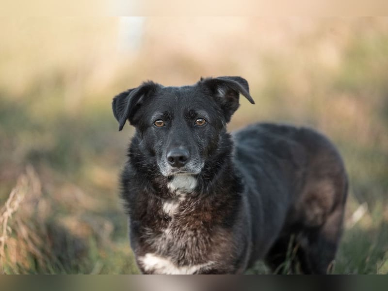 TITI-kleiner, freundlicher Teddybär, toller Alltagsbegleiter