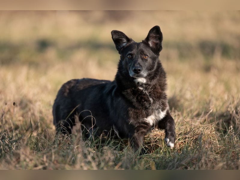 TITI-kleiner, freundlicher Teddybär, toller Alltagsbegleiter