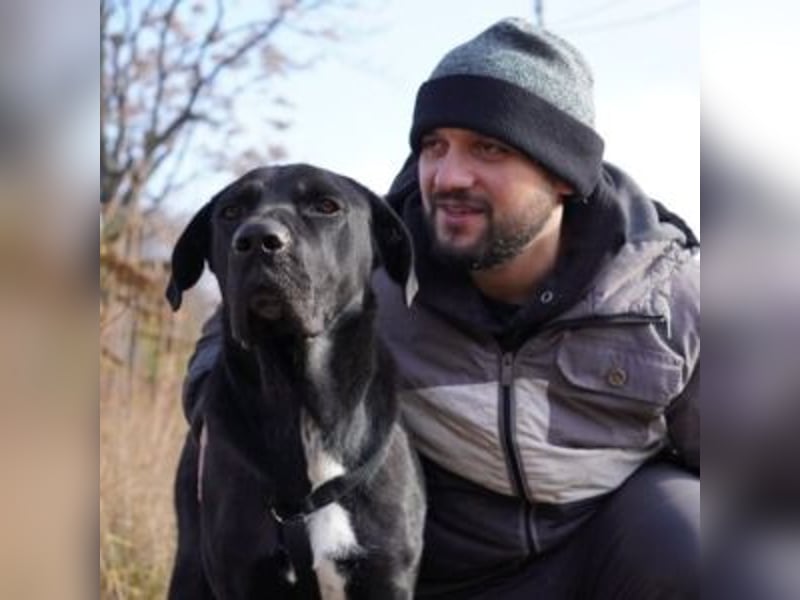 CARLOS-empfindsamer, kraftvoller Rüde sucht seinen Bezugsmenschen