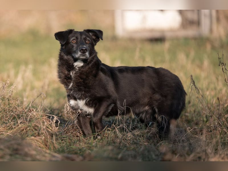 TITI-kleiner, freundlicher Teddybär, toller Alltagsbegleiter