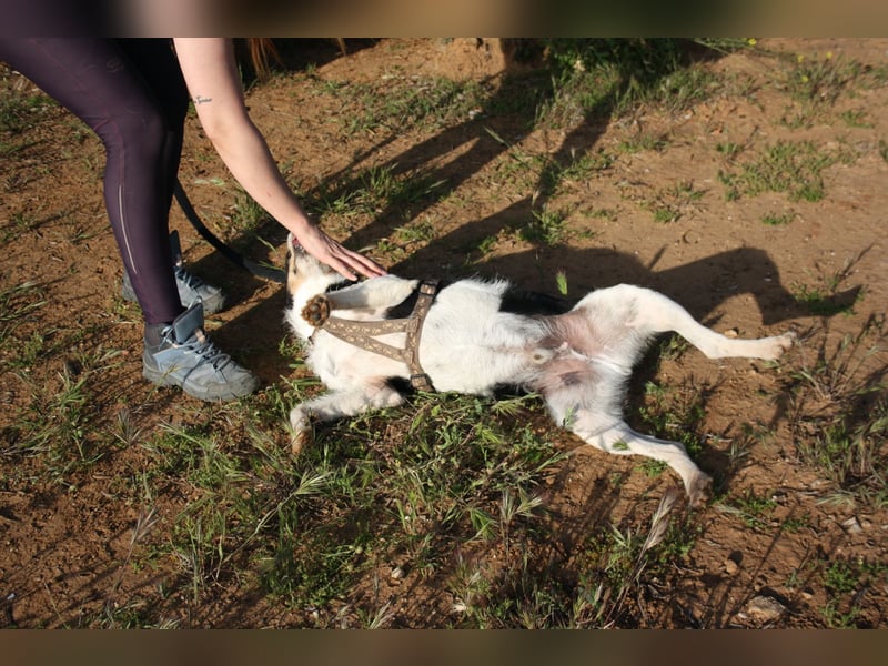 BAYRON-offen, sozial sucht liebevolle Familie