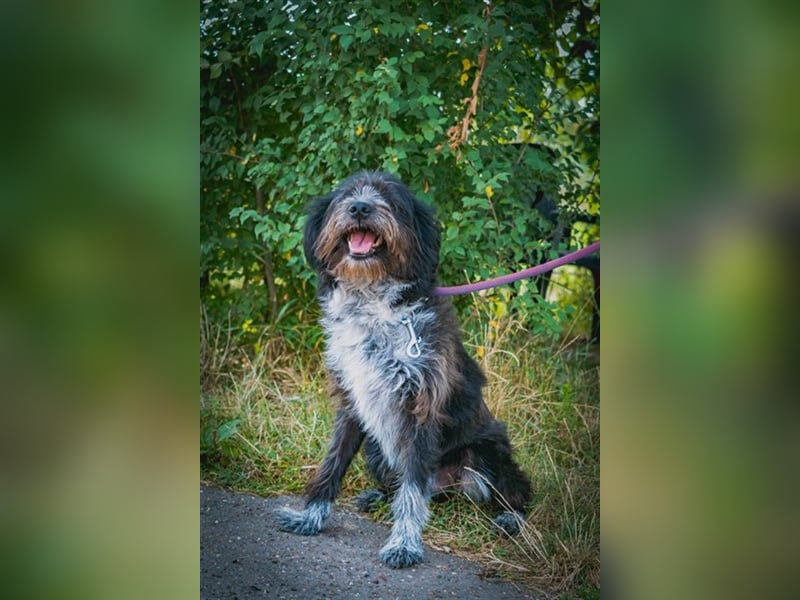 MOGLI - ein kleiner Kämpfer sucht sein Zuhause