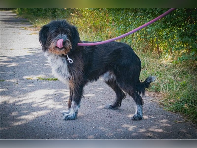 MOGLI - ein kleiner Kämpfer sucht sein Zuhause