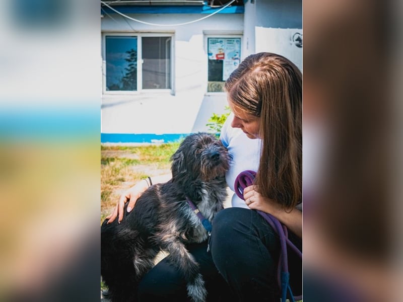 MOGLI - ein kleiner Kämpfer sucht sein Zuhause