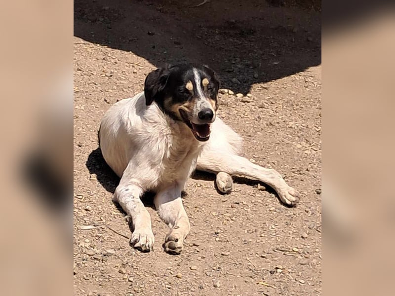 Monty sucht Dich