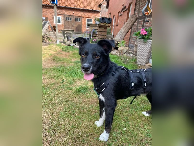Unser Prinz sucht sein Schloss....
