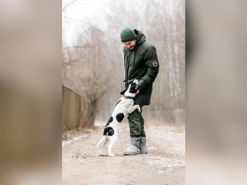 Lebensfroher Henry sucht passendes Zuhause