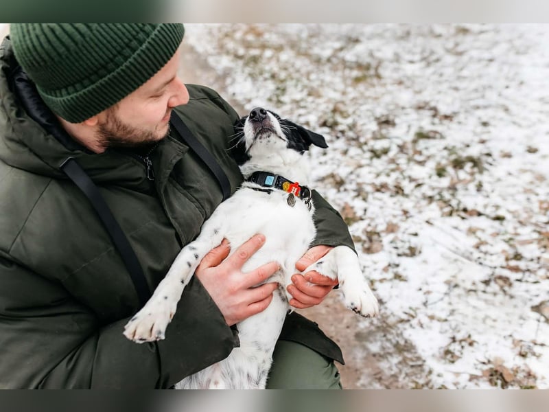 Lebensfroher Henry sucht passendes Zuhause