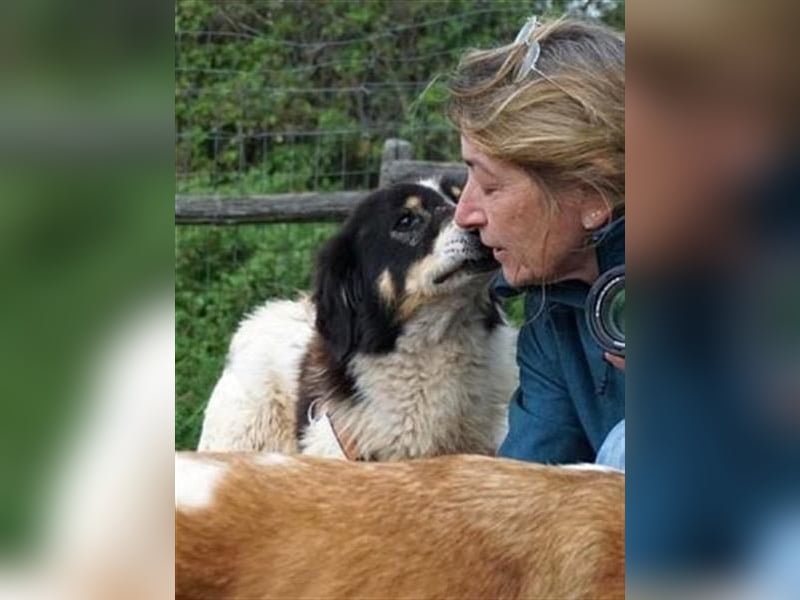 Freundlicher Peppe sucht seine Familie