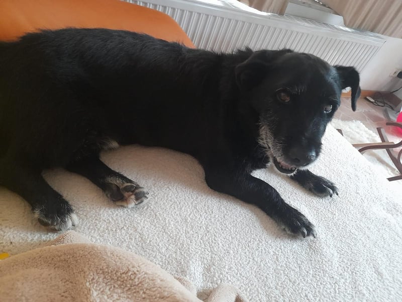 Akira (M) fröhliches Gute-Laune-Paket