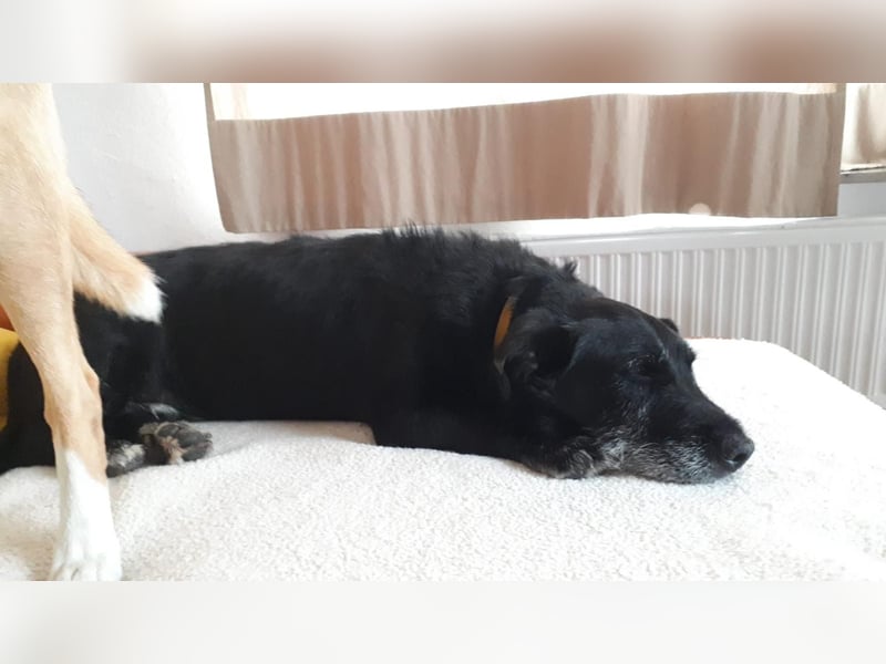 Akira (M) fröhliches Gute-Laune-Paket