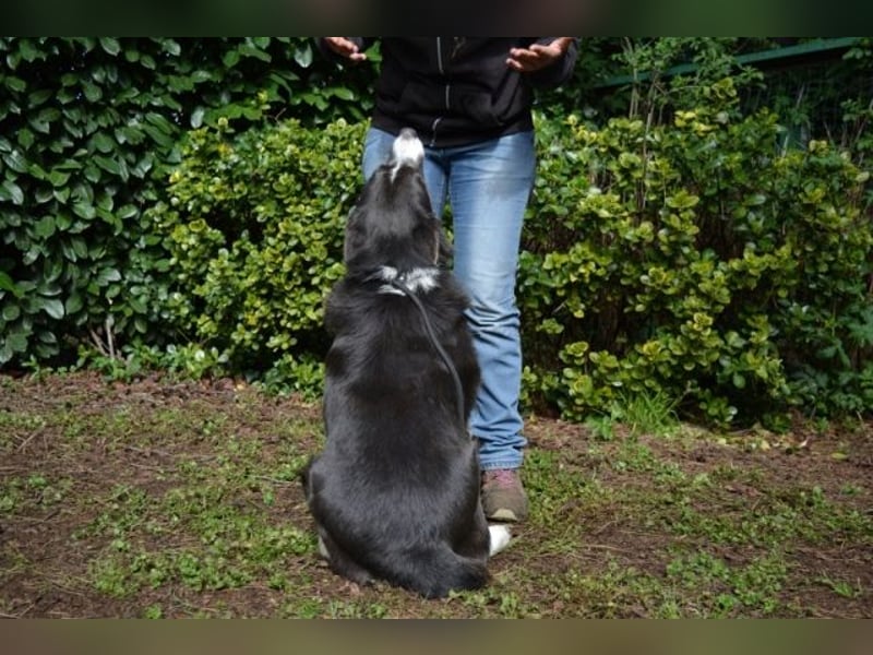 Aadesh - Wer bringt seine Augen zum Strahlen?