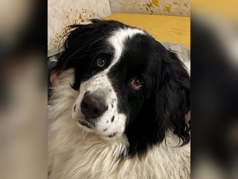 Teddy - Enttäuscht von denen, die er Familie nannte