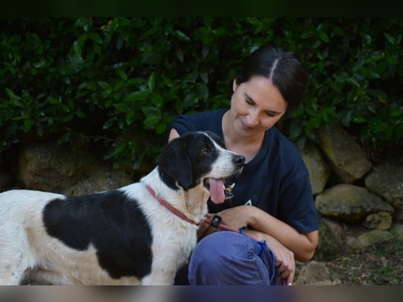 Bierenike - Traumhund sucht bessere Zukunft
