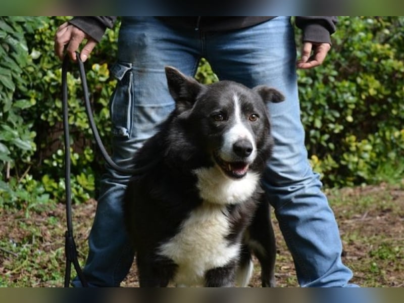 Aadesh - Wer bringt seine Augen zum Strahlen?