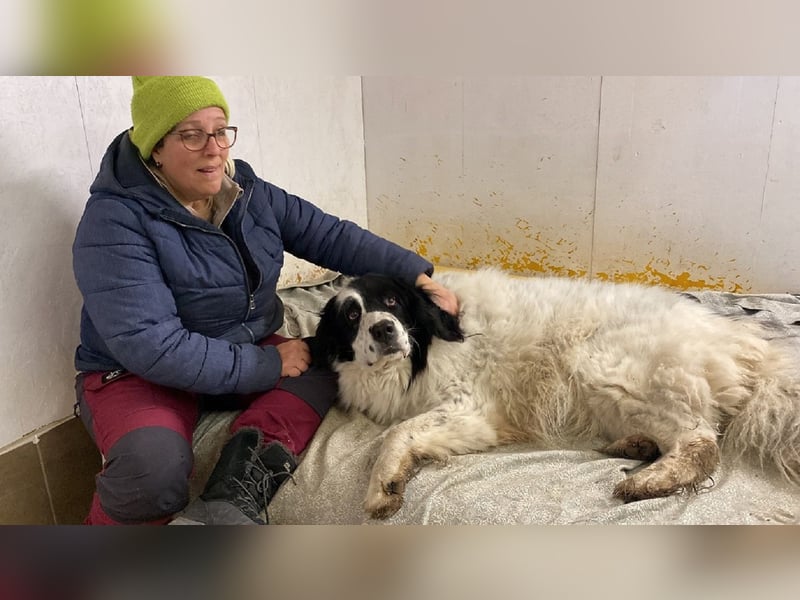 Teddy - Enttäuscht von denen, die er Familie nannte