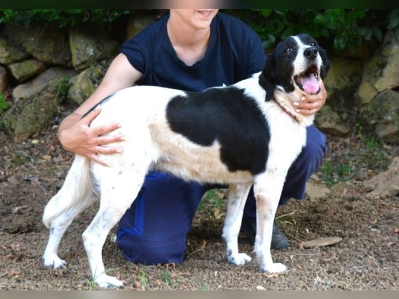 Bierenike - Traumhund sucht bessere Zukunft