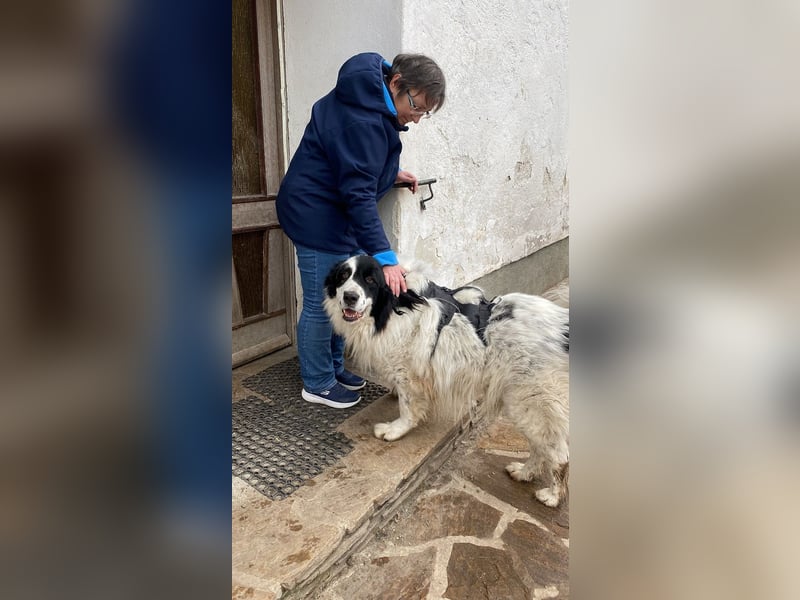 Teddy - Enttäuscht von denen, die er Familie nannte