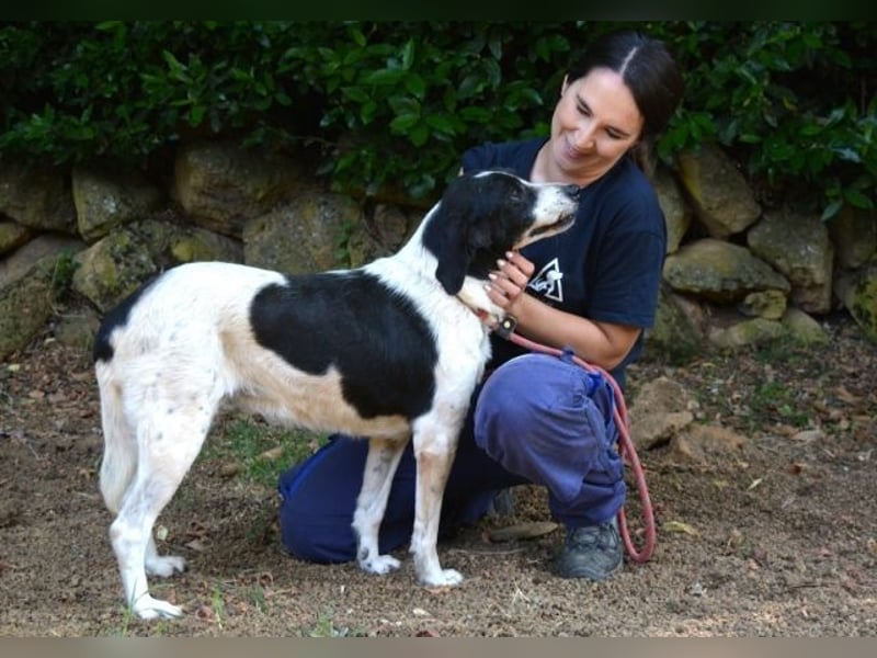 Bierenike - Traumhund sucht bessere Zukunft