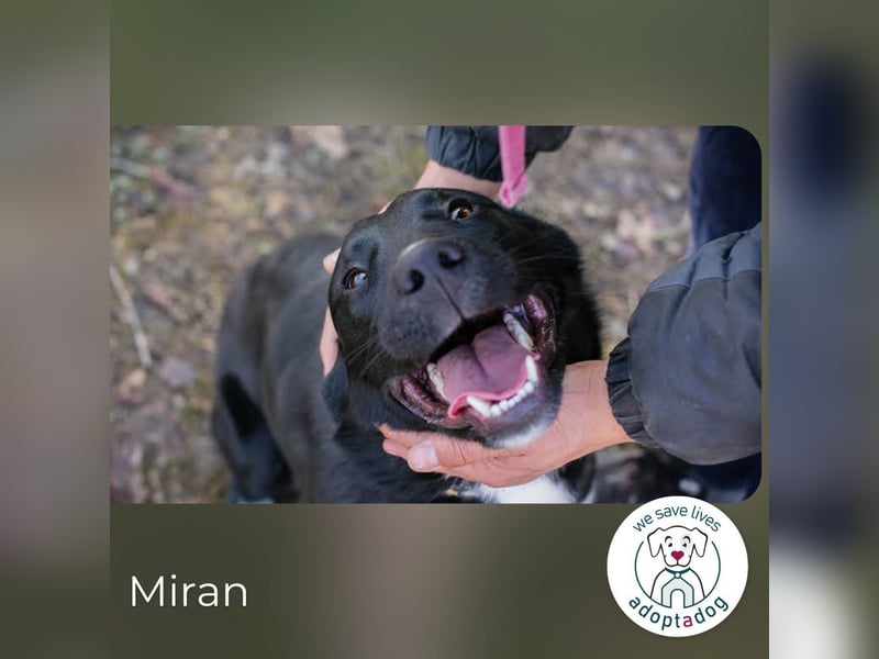 Miran: Für jeden Spaß zu haben