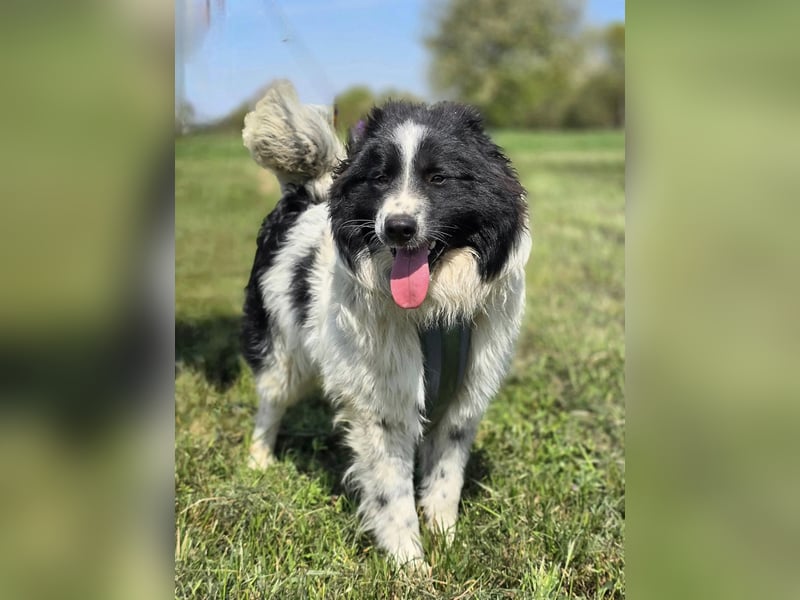 Bingo❤️