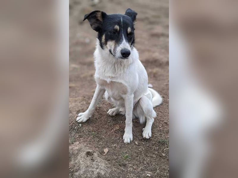 Jakye möchte dem Shelter entfliehen