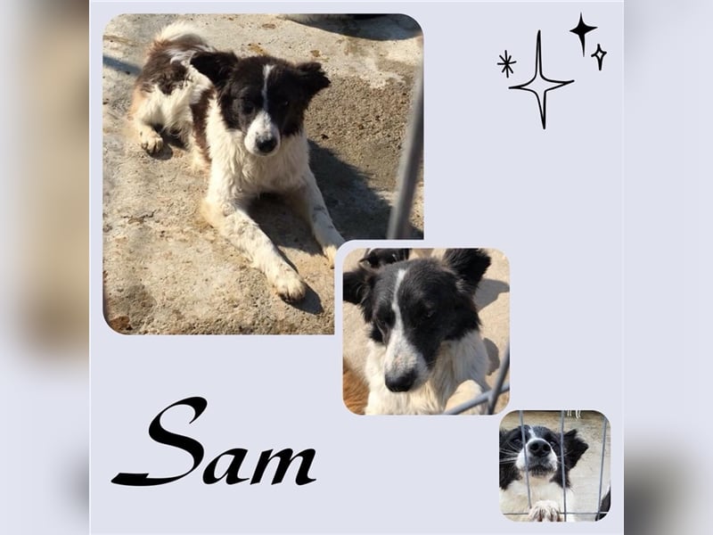 Sam stellt sich vor