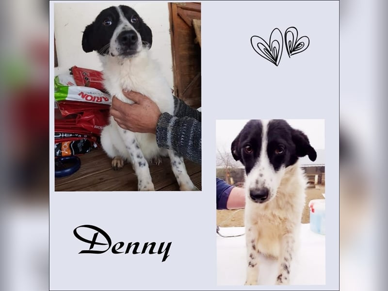 Huhu hier kommt Denny!
