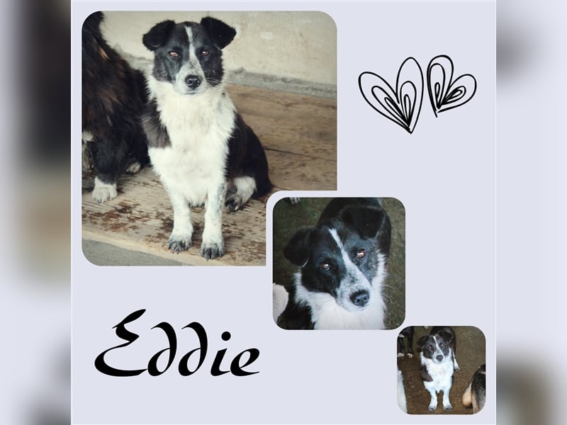 Eddie wartet schon soooo lange