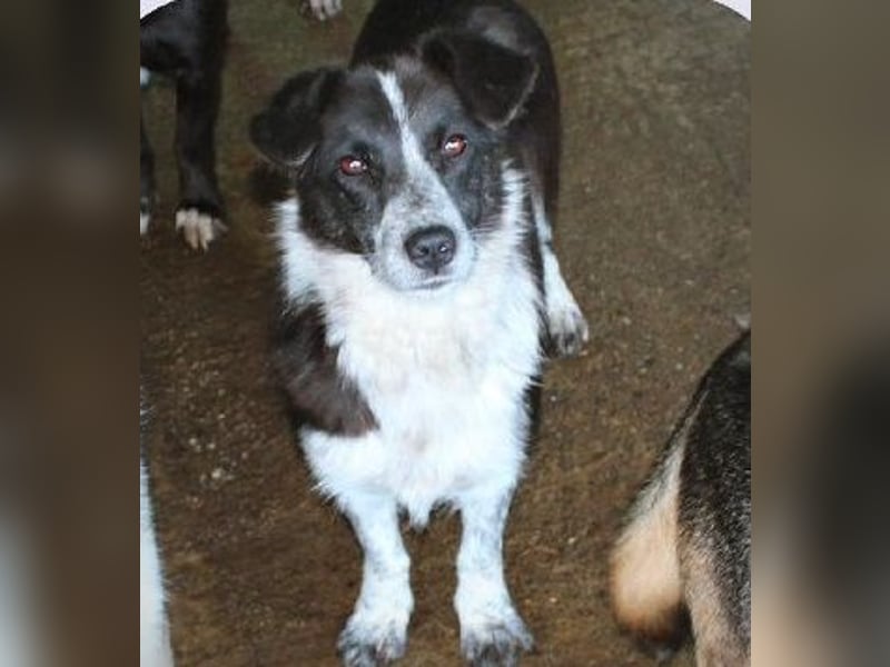 Eddie wartet schon soooo lange