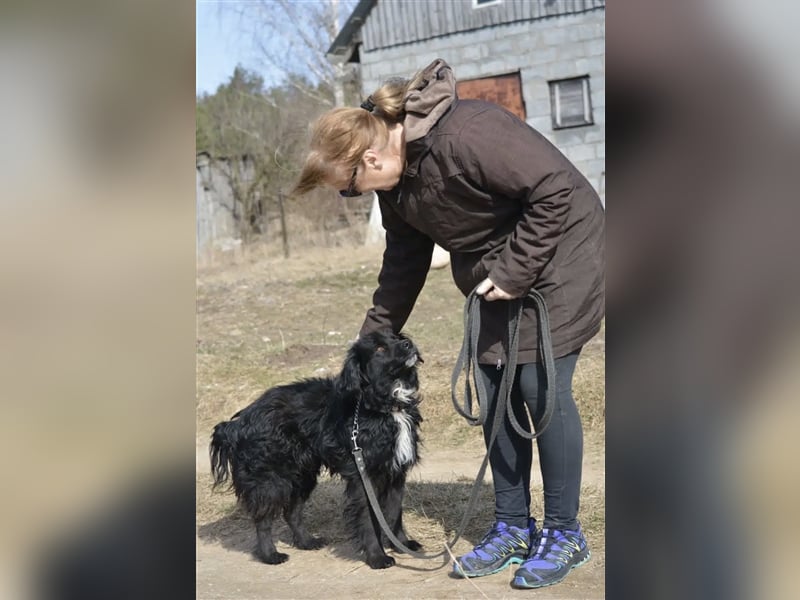 „Ibu“, ca. 3 Jahre alt, sucht seine Menschen. Sehr anhänglich.