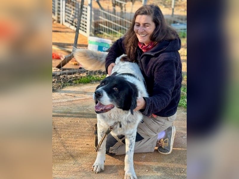 Couch gesucht für Senior BAO
