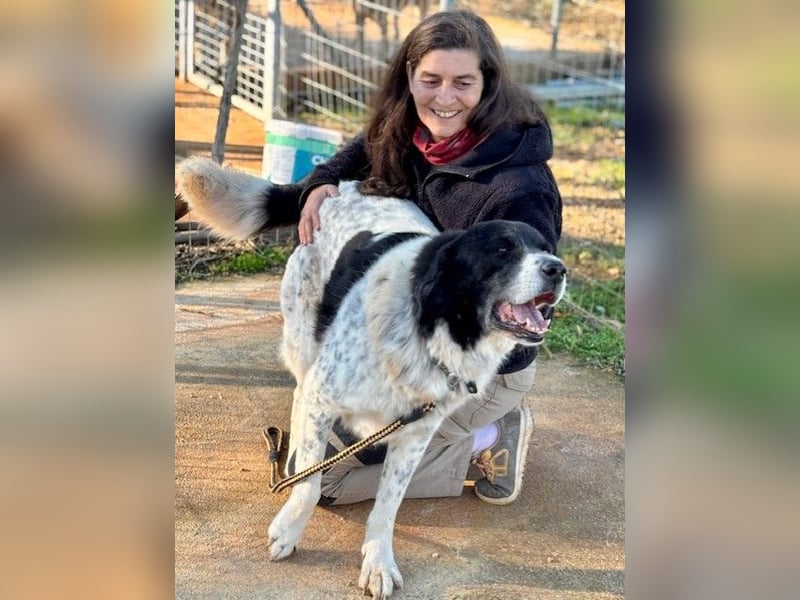 Couch gesucht für Senior BAO