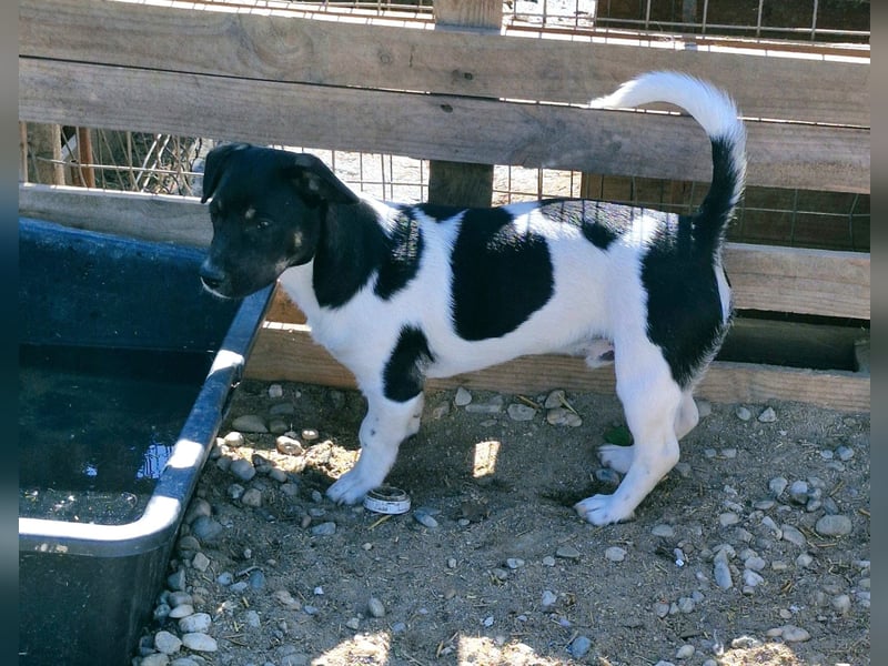 WATSON - Wem darf der neugierige Bub sein Herz schenken?