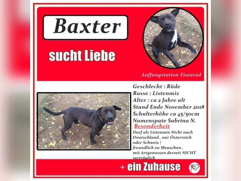 Baxter