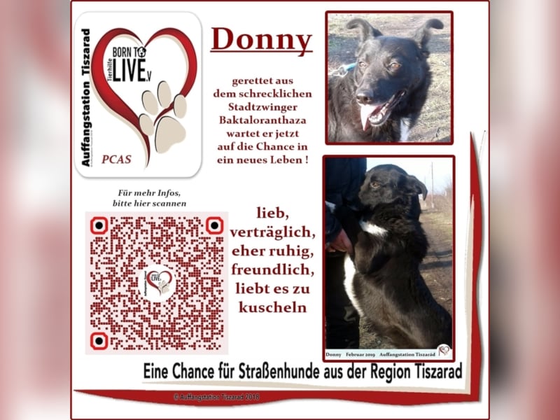 Donny