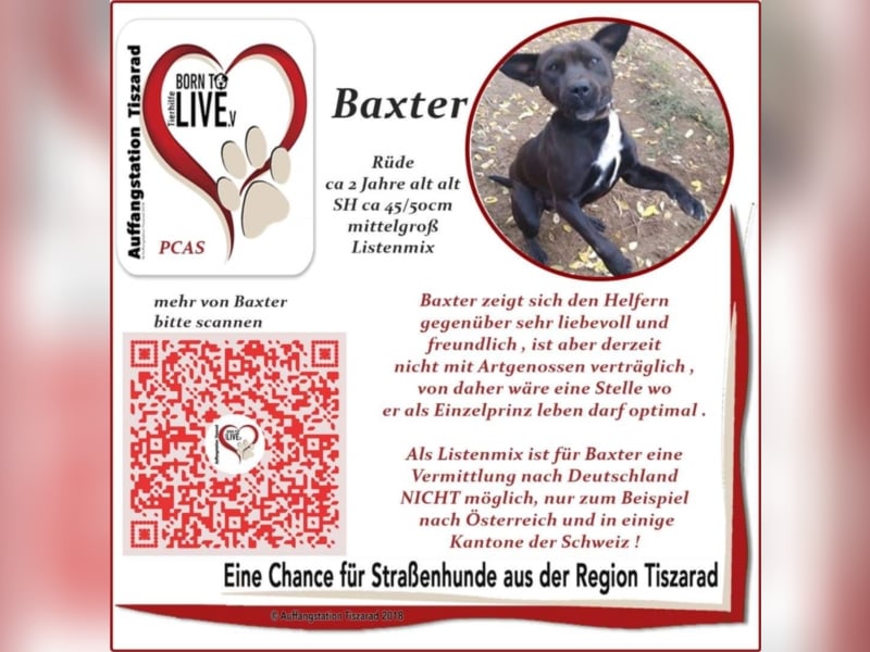 Baxter