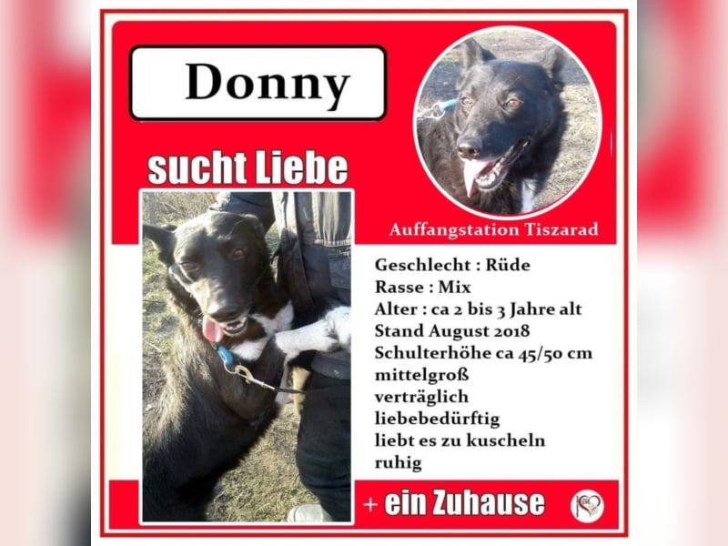 Donny
