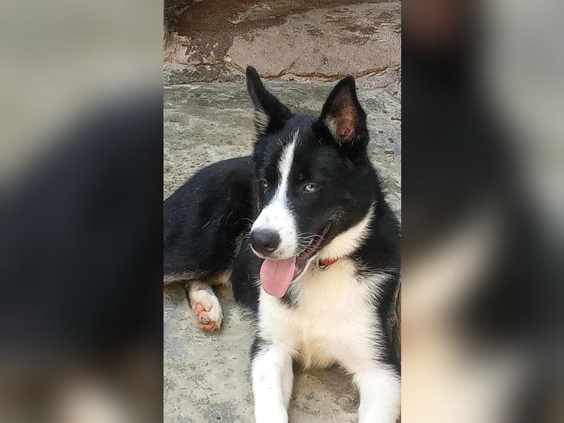 LOKI - ist bereit für Abenteuer
