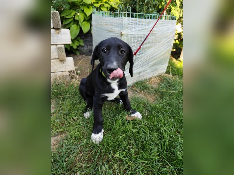 EDGAR - Jungspund sucht seine eigene Familie