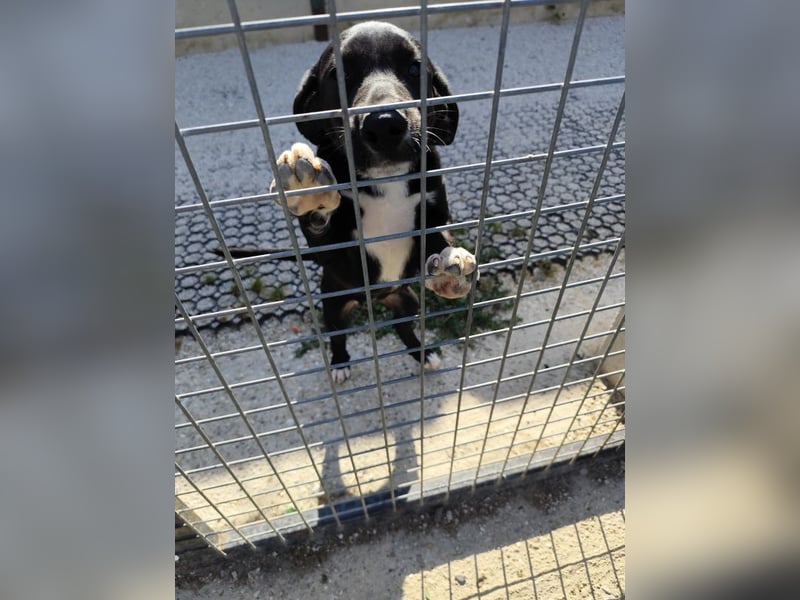 EDGAR - Jungspund sucht seine eigene Familie